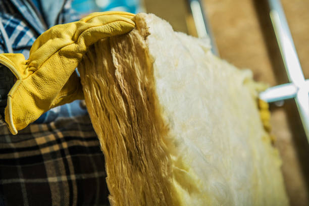 Best Specialized Insulation Services in Toluca, IL