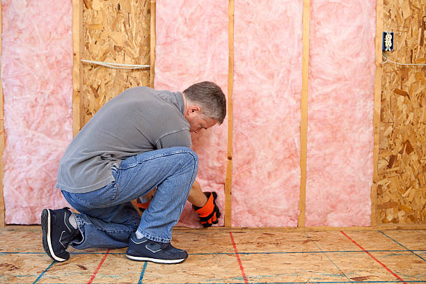 Best Commercial Insulation in Toluca, IL